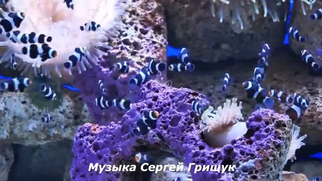 Коллекция красивой инструментальной музыки для успокоения и внутренней гармонии   #КРАСИВАЯМУЗЫКА (1