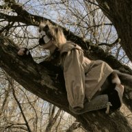 Стрим с Мармеладкой терианом!
мой тг канал: https://t.me/mejhmermelade175
(≧▽≦)