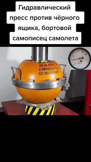 #наука #подмикроскопом #микроскоп #интересно #микромир