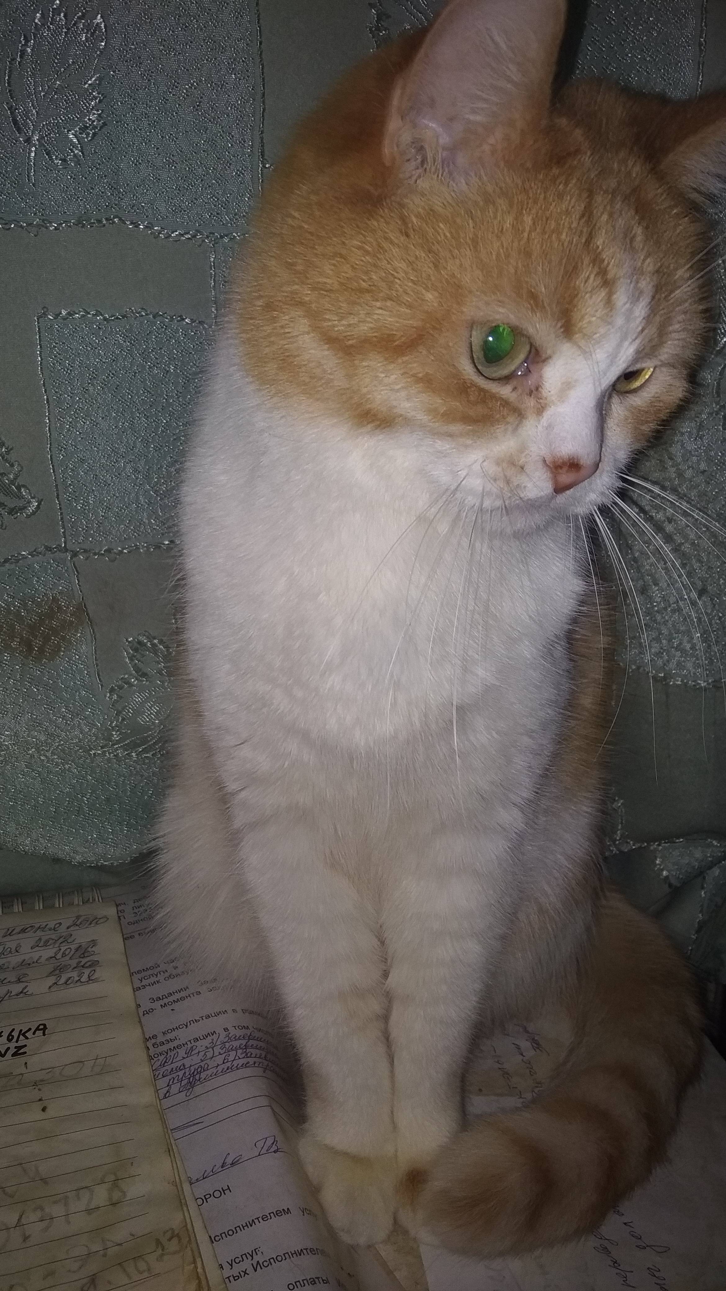 СТЫРИЛ........😳 😊 👏 😄 😄 😄!!
https://yoomoney.ru/to/410011211689110