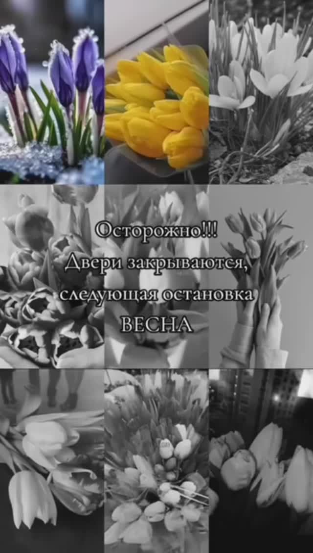 Следующая остановка ВЕСНА!