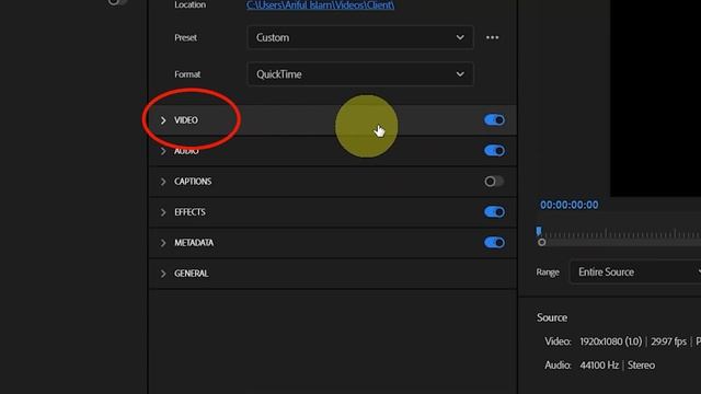 How to Export with a Transparent Background in Premiere Pro