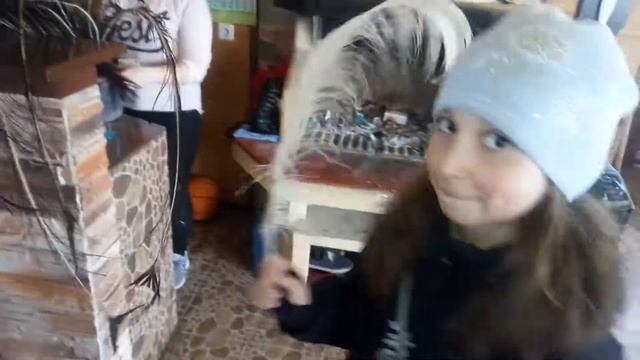 Клуб - Тэнгу Про Подготовка бойца Кёкусинкай карате - на Страусиной ферме(3)