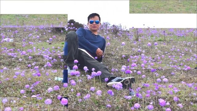 Tom Hill The Hidden Paradise of Dirang.