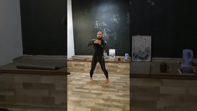 1.ШИ (БАЗОВЫЕ ФОРМЫ). 6.ШОУ ФА (БОЕВЫЕ РУКИ): 2.Блоки (инь) - 1.1.Одиночный блок (крыло)