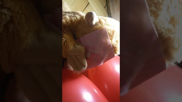 Утро обезьянки Кеши