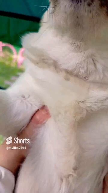 Моя Джуди 😍