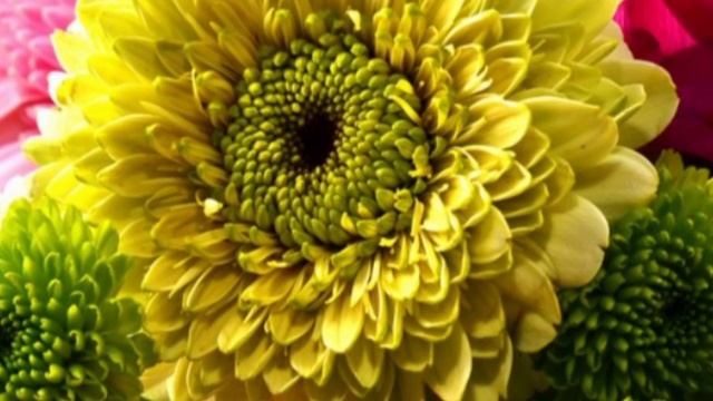 Предательство