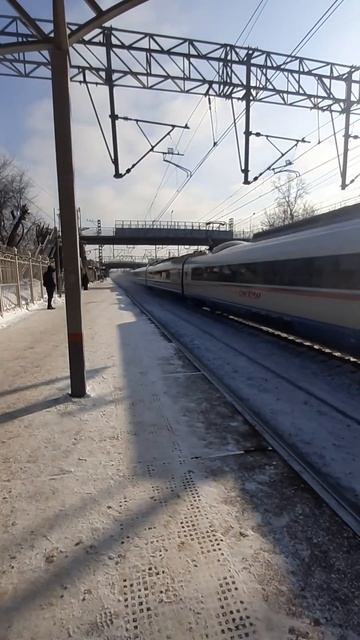 Сапсан летит по станции Петровско-Разумовская в Санкт-Петербург! #поезд