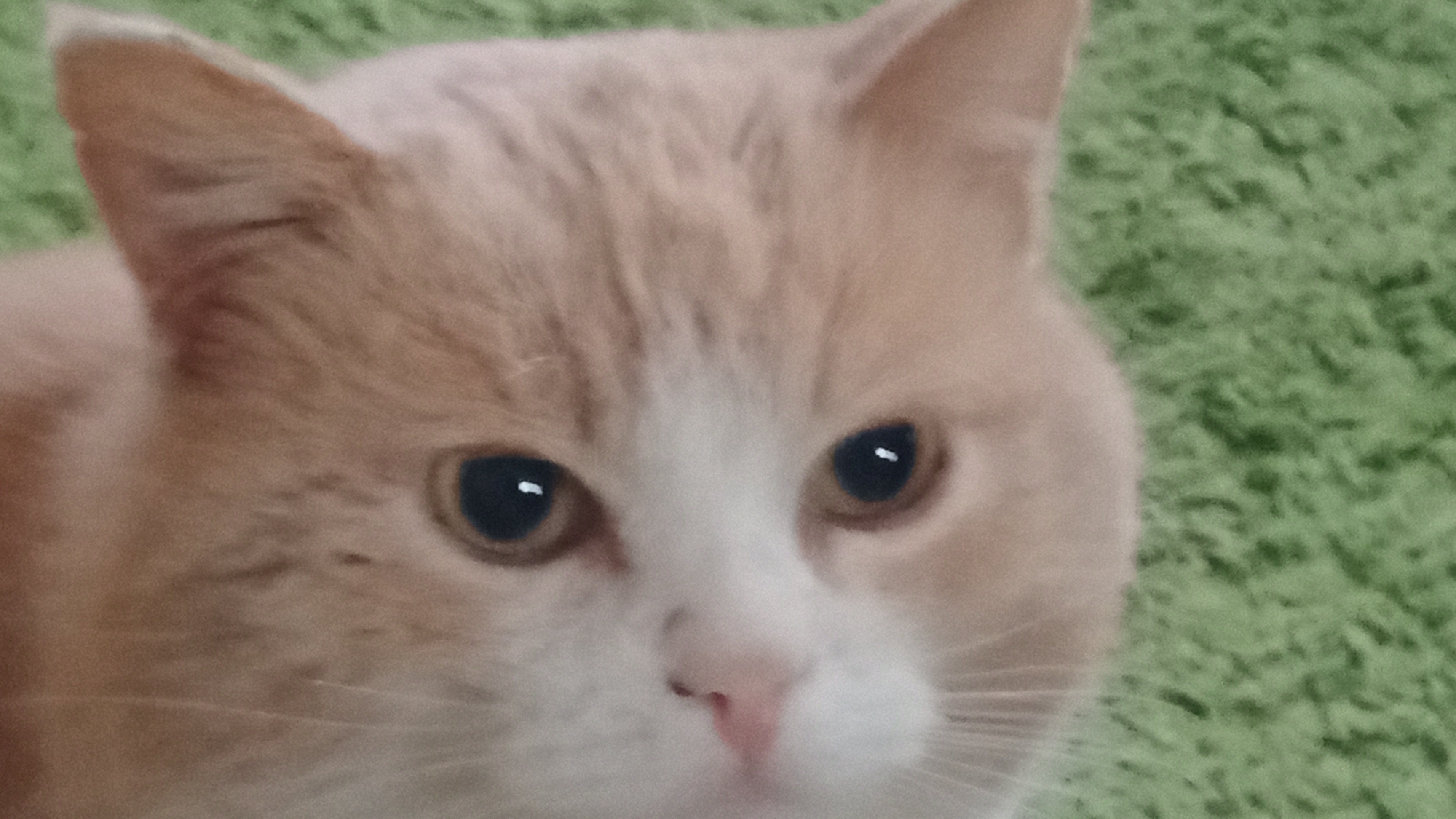 доброе утро вам