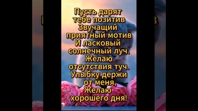 Привет от меня! Хорошего дня! Greetings from me! Have a nice day! Подпишись и поделись с друзьями