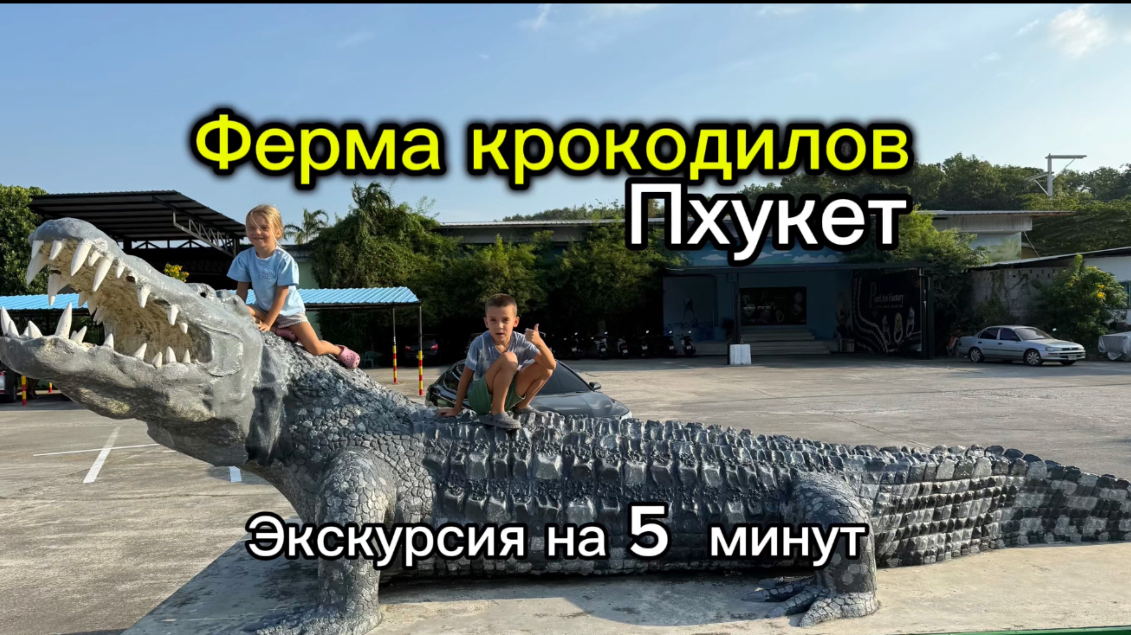 Ферма крокодилов на Пхукете, жаль этих хищников.