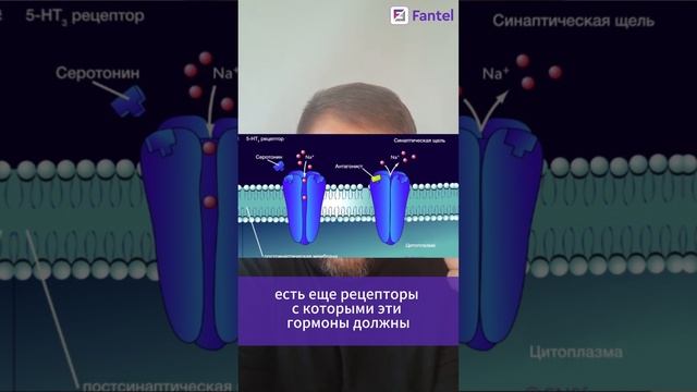 Секрет стабильной жизни