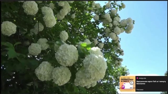 Лучшая музыка Сергея Чекалина