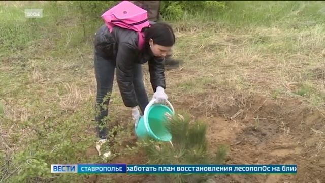 В минприроды Ставрополья решали вопросы восстановления лесополос