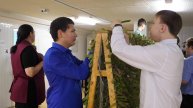 Школьники Новоаганска объединились в волонтёрский отряд для помощи односельчанам