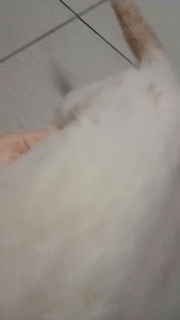 1000319837.mp4