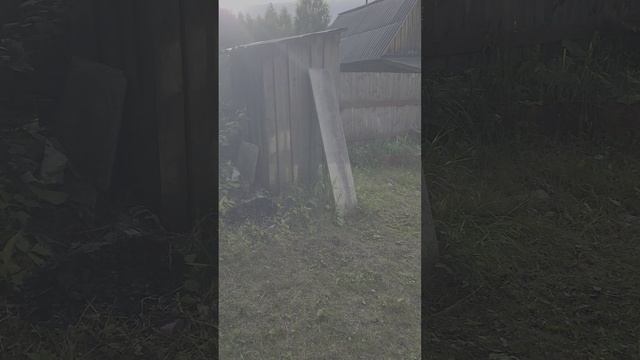 1000041434.mp4