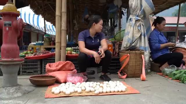 Life alone: Harvesting Duck Eggs Goes to the market to sell - Cooking | Trieu Mai Huong