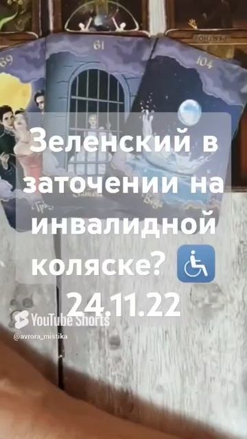 Видео WhatsApp 2025-03-13 в 11.24.07_1346a160