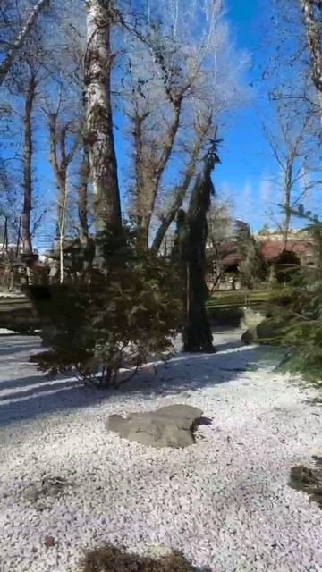 Лога Парк.