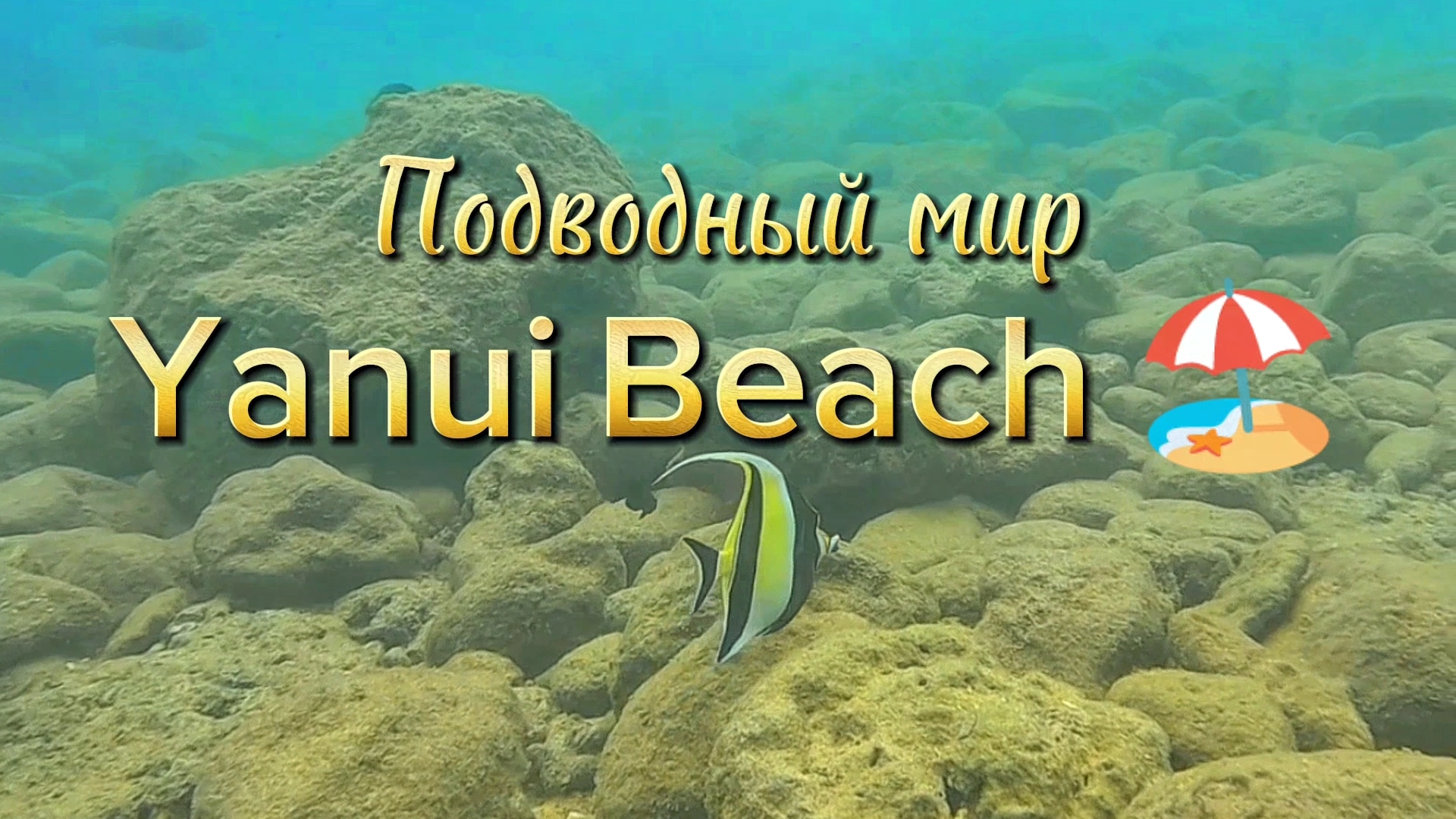 Тайланд, Пхукет, подводный мир пляжа Януй