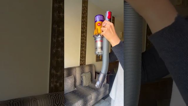 Grooming your dog #shorts #shortsvideo #trending #viral #shivanitrehan #dogvideo #dyson #pomeranian