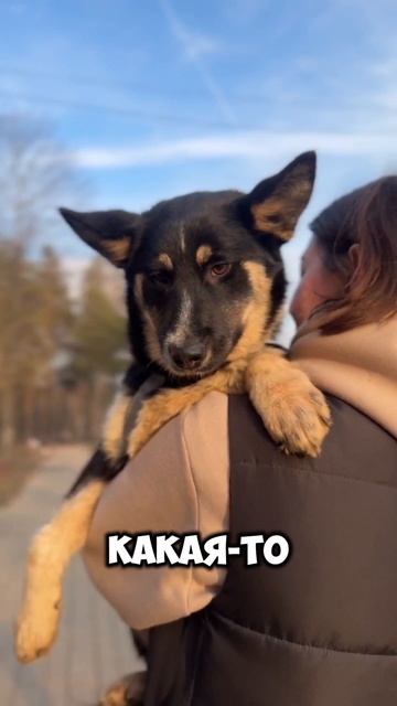 Бетти ищет дом!