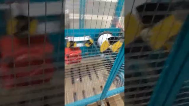 Twist machine Крутильная машина
