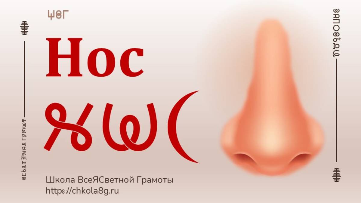 Нос. ВсеЯСветная Грамота