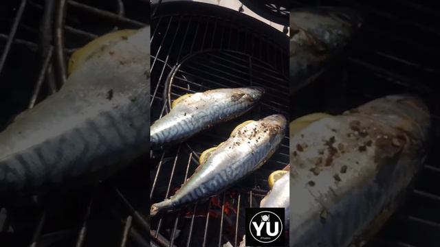 ВКУСНАЯ СКУМБРИЯ НА ГРИЛЕ