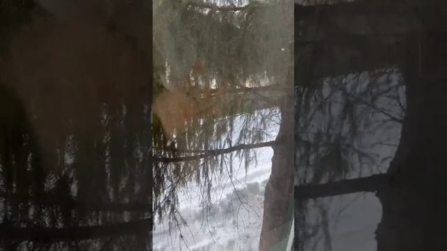 WhatsApp Video 2025-03-13 at 09.05.14