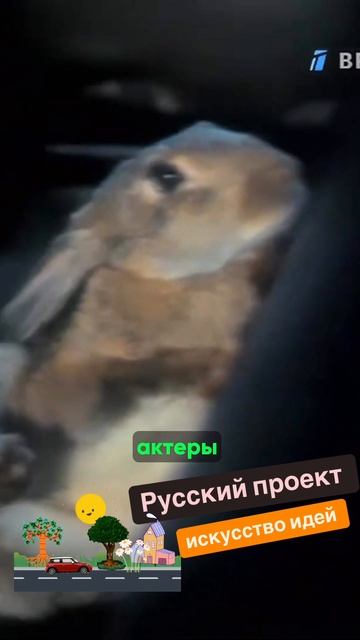 Русский проект - социальные ролики ОРТ, которые смотрела вся страна #tv #shorts #russia
