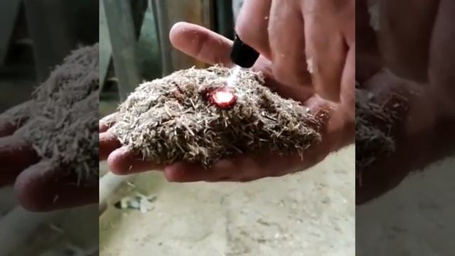 WoodWarm Flax и огонь