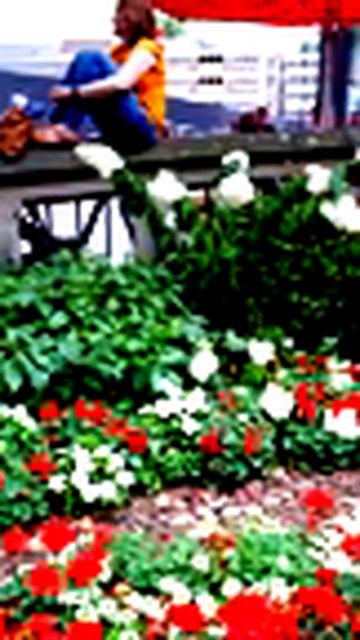 Невероятные кадры