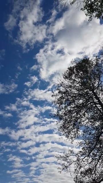 Утро .01.06.2022 г.
Малаховское озеро