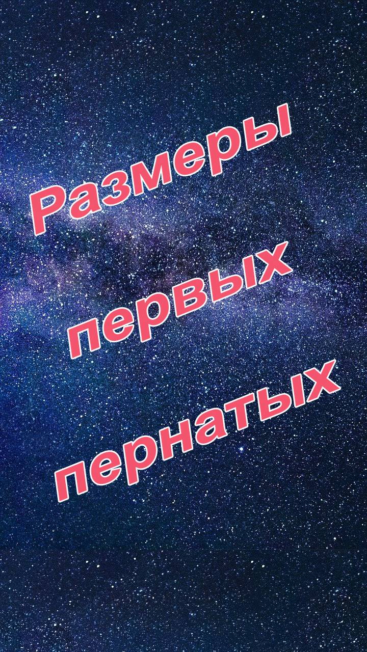 Справился ли бы кот с первый пернатым динозавром — размеры протоптиц