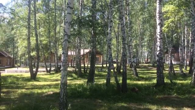 Белая роща