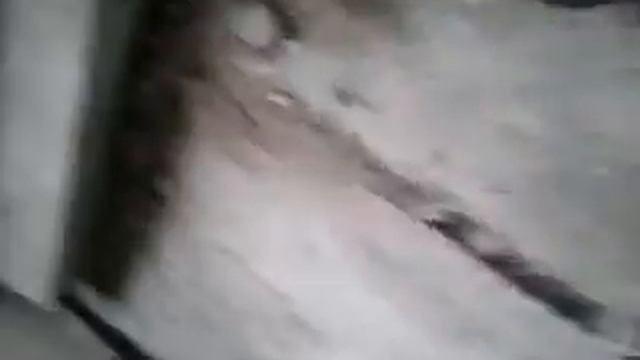 Заброшенный 2-этажный дом. Что там?| Путешественники А.Д.А.| Влог|
