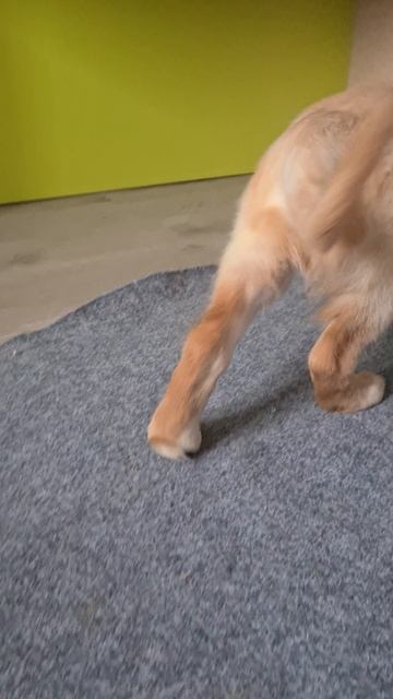 1000030860.mp4