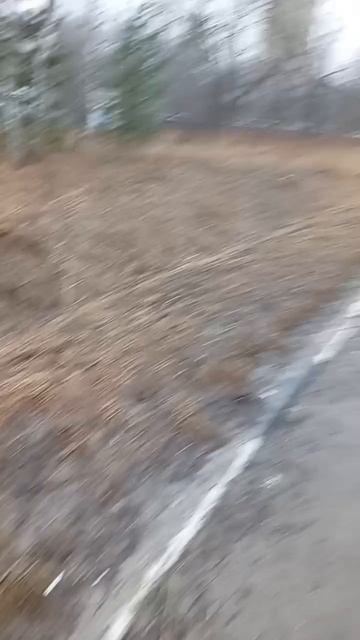 scene_output.mp4