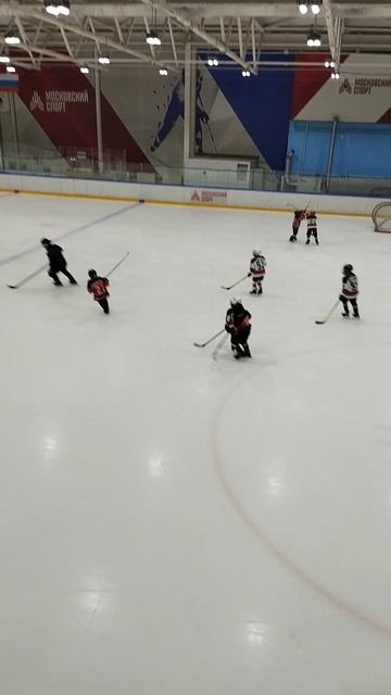 хоккей