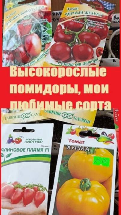 Сорта высокорослых томатов, которые я уже посеяла, Пермский край!