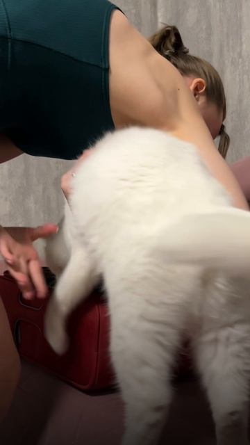 Ставь ♥️, и в следующих видео я расскажу, зачем беру все эти тренажеры с собой в дорогу