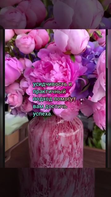 Лунный календарь 13.03.25 #лунныйкалендарь #астропрогнознакаждыйдень #астрология #лунныедни