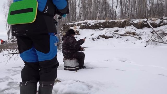 РАЗБУРИЛИ КОРЯЖНИК, а там судак, лещ и  окунь! РЫБАЛКА на вибы зимой