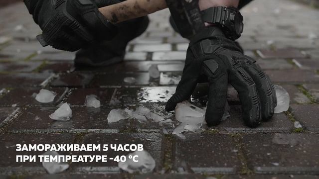 Классический краш тест Zippy