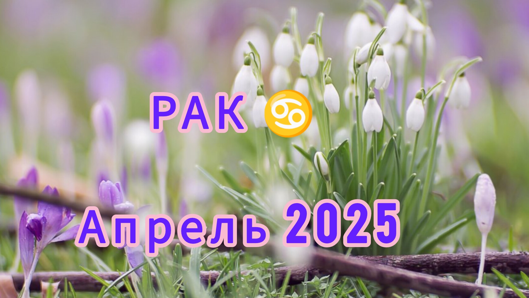 РАК ♋ апрель 2025 года. Расклад таро.