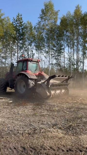 Задом на перед сидит тракторист в Valtra T235 89261385927 #мульчер #ротоватор #farming #niubo