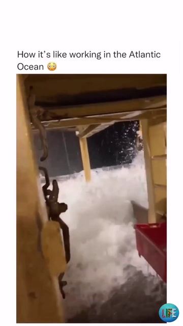 Во время шторма на судне